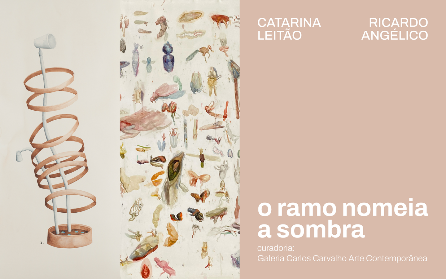 O Ramo Nomeia a Sombra